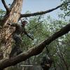 Een remake waar fans dol op zullen zijn: journalisten delen hun indrukken van de Metal Gear Solid Δ: Snake Eater demo-6