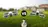 DJI Neo vs DJI Flip: Vergelijking