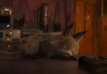 Disney heeft een 12 uur durende ...