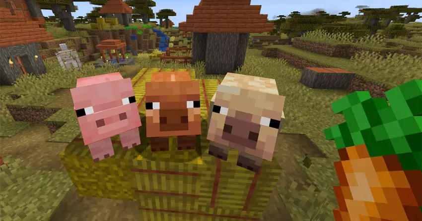 Nieuwe soorten varkens in Minecraft