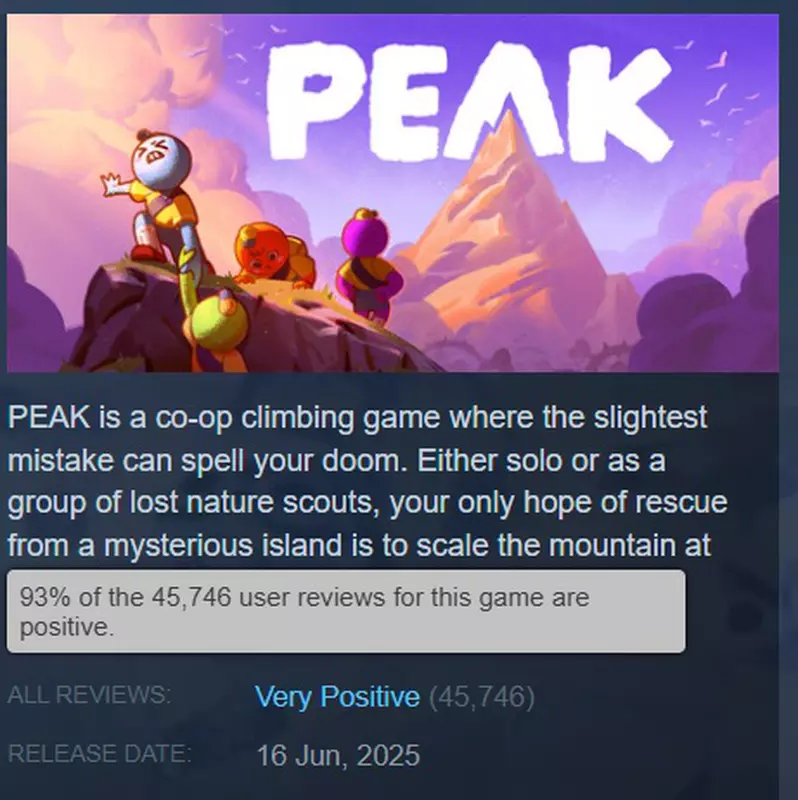 PEAK Arcade klimsimulator