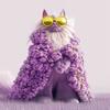 Uniek kattenontwerp bij Catly
