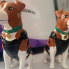 Dierprothesen, Fallout-wapens en militaire projecten: een fotoverslag van het RepRapUA 3D-printingfestival in Kiev-31 Dierprothesen, Fallout-wapens en militaire projecten: een fotoverslag van het RepRapUA 3D-printingfestival in Kiev-31
