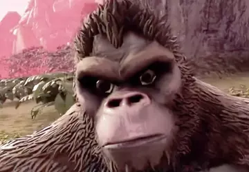 Het is allemaal de schuld van ...