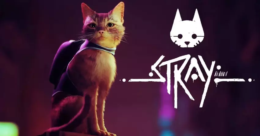 Cyberpunk met een kat: indiehit Stray krijgt 35% korting op Steam tot 3 juni