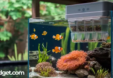 Beste Automatische Visvoederautomaat