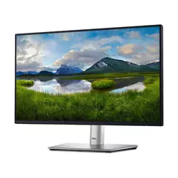 Dell P2422H