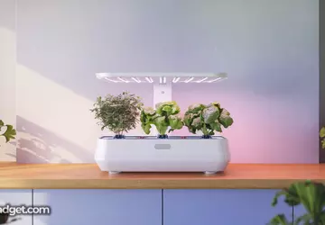 Slimme Gadgets voor Plantenverzorging