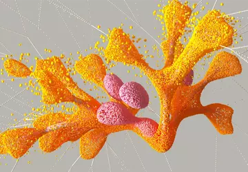 DeepMind heeft een AI-algoritme genaamd AlphaMissense ...