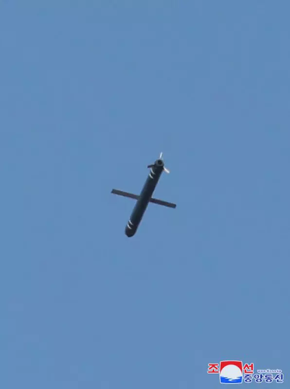 De Pulhwasal-3-31 raket. Illustratie: KNCA