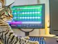 post_big/fugatto-cat.jpg