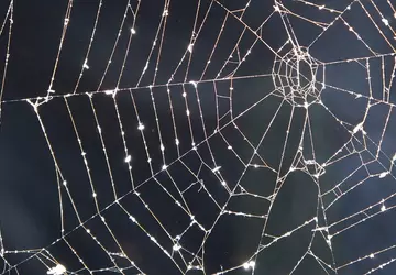 Vijfde luchthaven en marinebasis met nucleaire ...