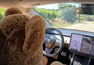 Tesla's veiligheidssysteem liet de teddybeer toe ...