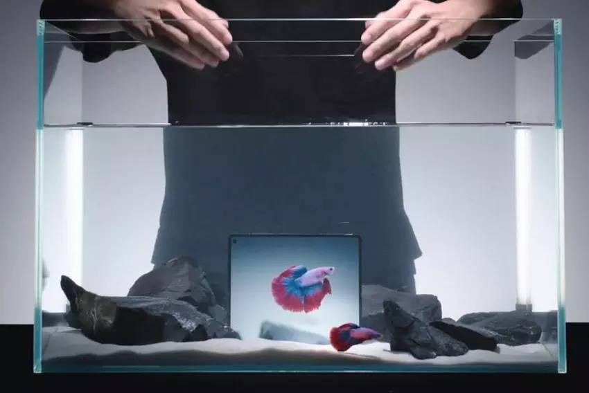 Vivo X Fold 5 opvouwbare smartphone met nieuwe batterij werkt zelfs bij -30°C