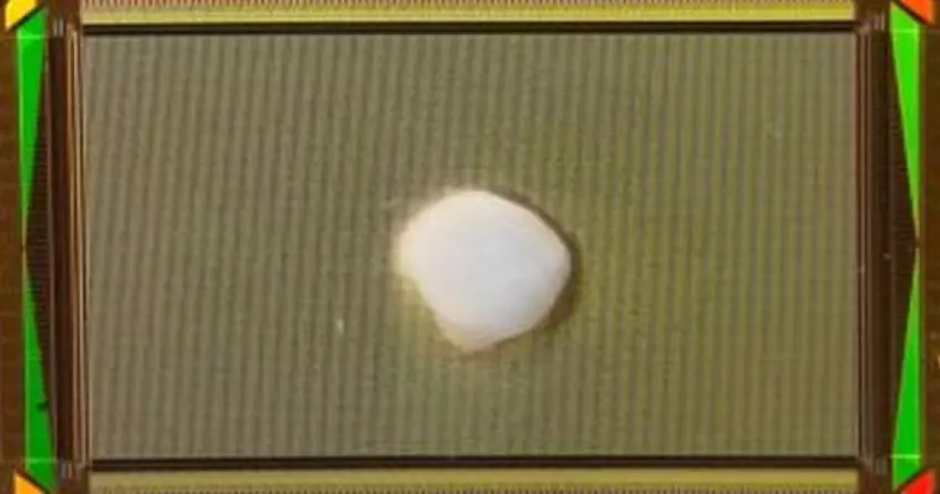 Wetenschappers hebben een menselijk brein gekweekt, aangesloten op een computer en het geleerd om vergelijkingen op te lossen.