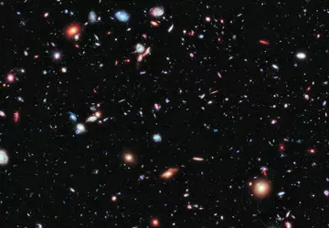 Het is officieel: de Maisies zijn ...