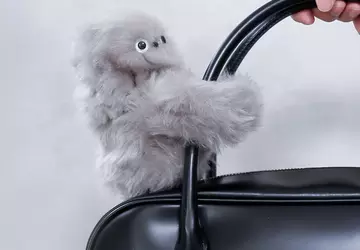 De 10 vreemdste apparaten op CES ...