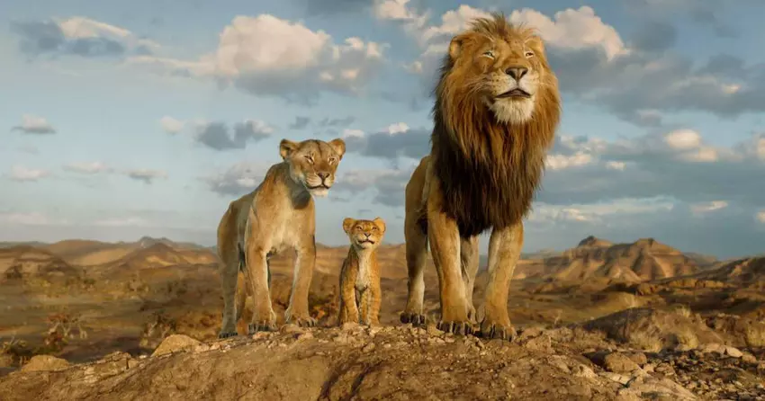 Geruchten: Disney werkt aan de volgende live-action film in het Lion King-universum