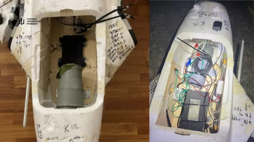 Een Gerbera drone. Illustratie: GUR