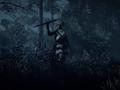post_big/pathofexile2dawnofthehuntteasertrailer-ign-blogroll-1741728543580.jpg