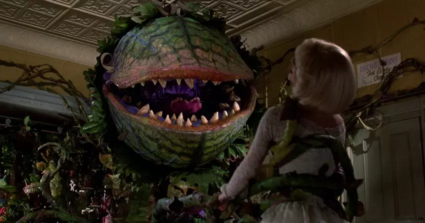 De regisseur van het iconische 'Gremlins', Joe Dante, gaat een reboot regisseren van de komische horrorfilm 'Little Shop Of Halloween Horrors'.