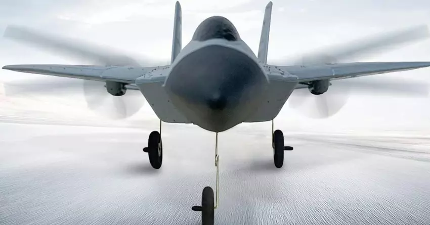 HAWK'S WORK F22 radiografisch bestuurbare vliegtuigen