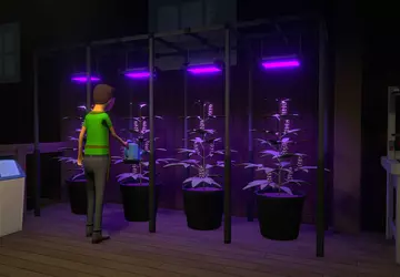 De indiehit Schedule 1, die in ...