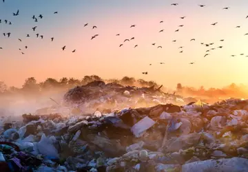 Nieuw onderzoek onthult de nefaste invloed ...