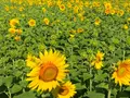 post_big/bgrpic-copy-6.webp
