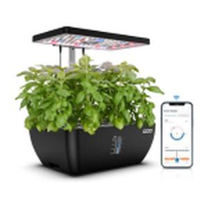 iDOO 12-Pod WiFi hydrocultuur kweeksysteem