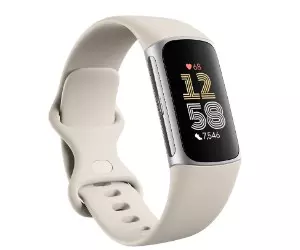 Fitbit Charge 6 fitness- en activiteitentracker