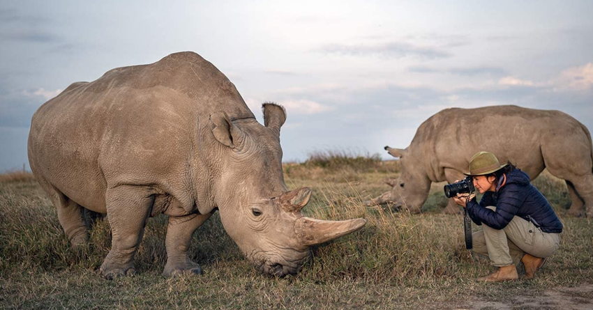 Beste camera voor fotojournalistiek
