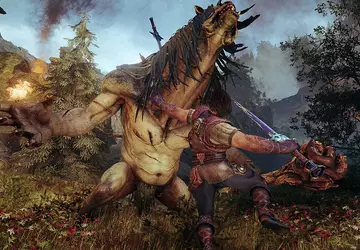 Een mix van Dark Souls en ...