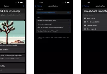 Palmsy app introduceert 'nep' vind-ik-leuk functie