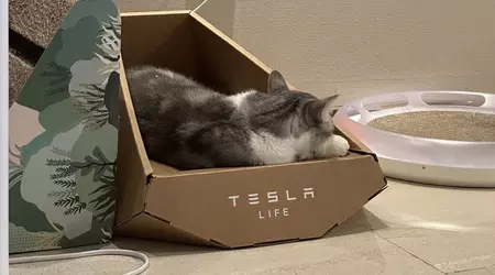 Het lijkt erop dat Tesla het ontwerp van een kattenligstoel in "Cybertruck-stijl" heeft gestolen van een Taiwanees bedrijf
