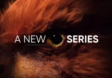 Realme heeft de lancering aangekondigd van ...