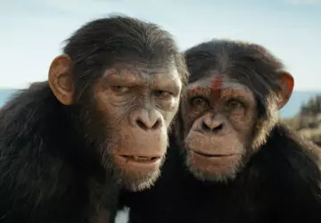 The Kingdom of the Planet of ...