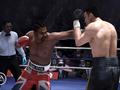 post_big/fight-night-image-3.jpg