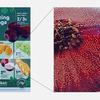 Schematische weergave van het Colour Imaging Algorithm