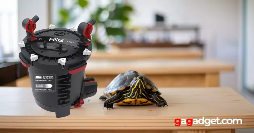 Beste aquariumfilter voor waterschildpadden.