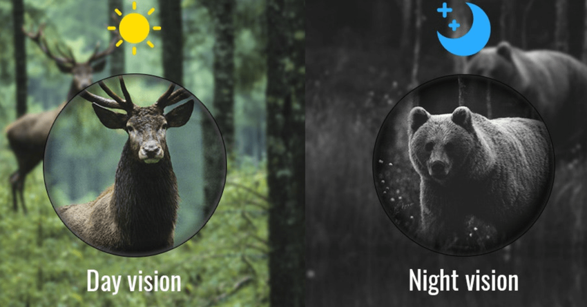 nachtkijker monoculair