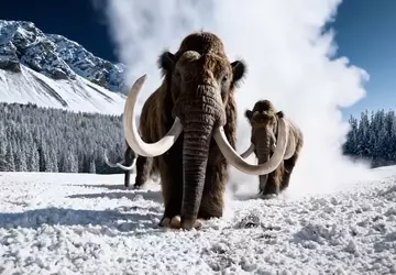 OpenAI bereidt de lancering voor van ...