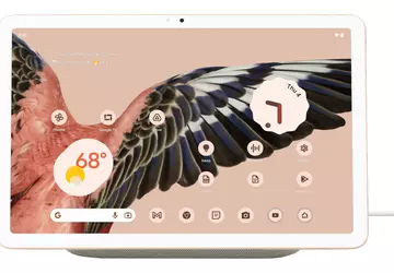 Experts vonden een vermelding van Pixel ...