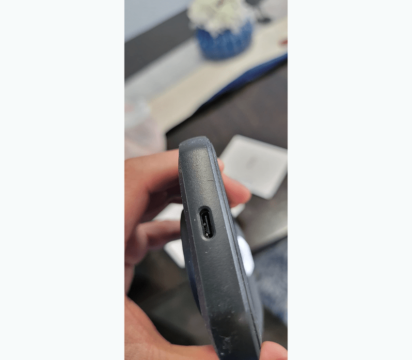 FLIR C5 warmtebeeldcamera voor thuis