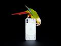 post_big/Nothing-phone-1-design-reveal.jpg