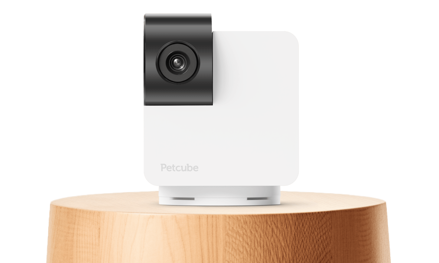 Petcube Cam 360: huisdiercamera met 360° rotatie, nachtmodus en tweewegcommunicatie Petcube Cam 360: huisdiercamera met 360° rotatie, nachtmodus en tweewegcommunicatie