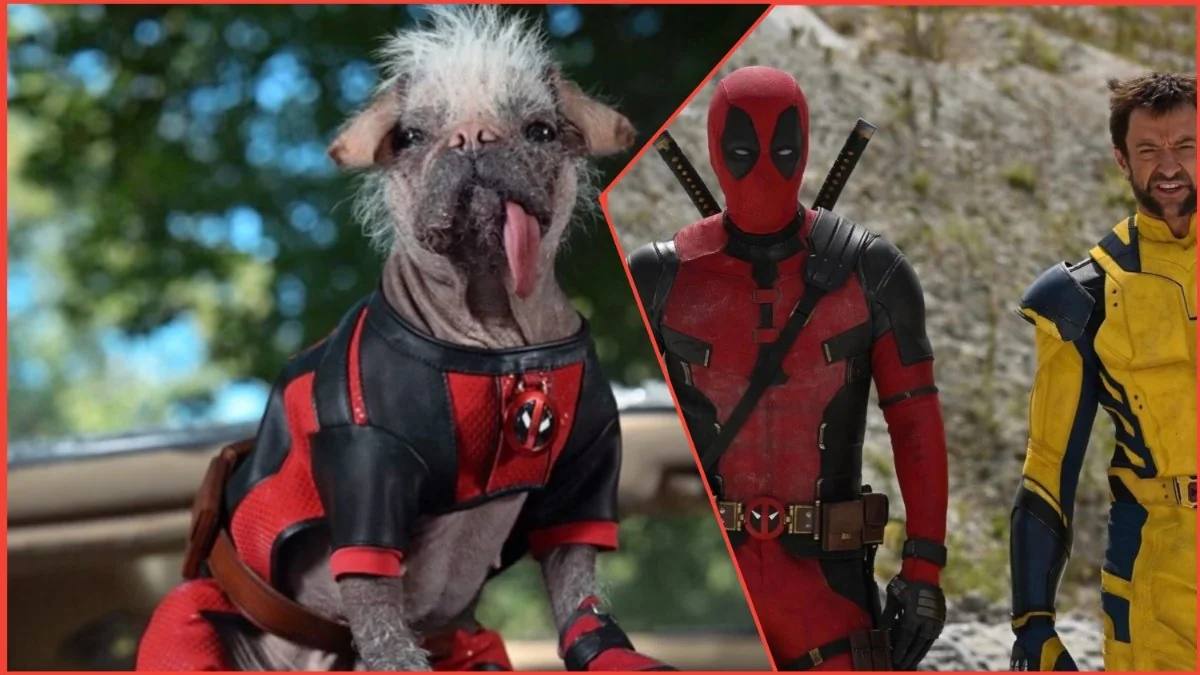 Laat de honden los: Ryan Reynolds kondigt de zomerrelease van Deadpool 3 aan en introduceert de nieuwe harige held Dogpool Laat de honden los: Ryan Reynolds kondigt de zomerrelease van Deadpool 3 aan en introduceert de nieuwe harige held Dogpool