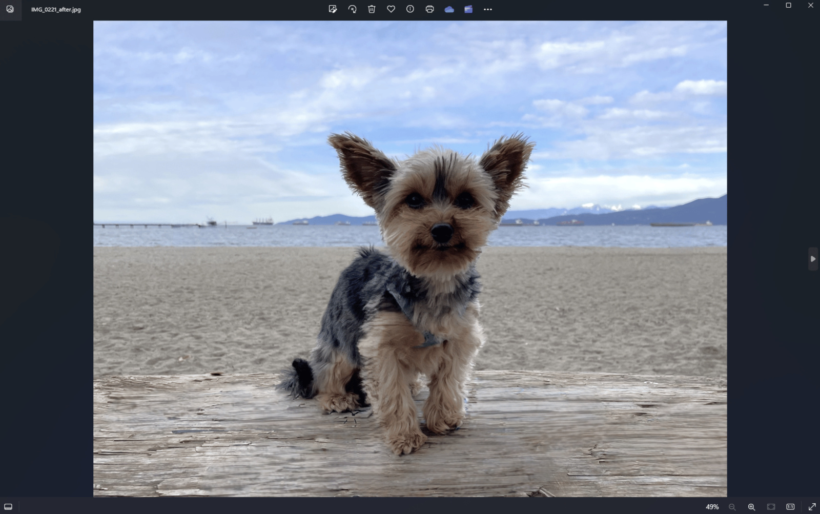Microsoft voegt AI-gebaseerd generatief hulpmiddel voor het verwijderen van objecten toe aan Windows Foto's-app-2 Microsoft voegt AI-gebaseerd generatief hulpmiddel voor het verwijderen van objecten toe aan Windows Foto's-app-2