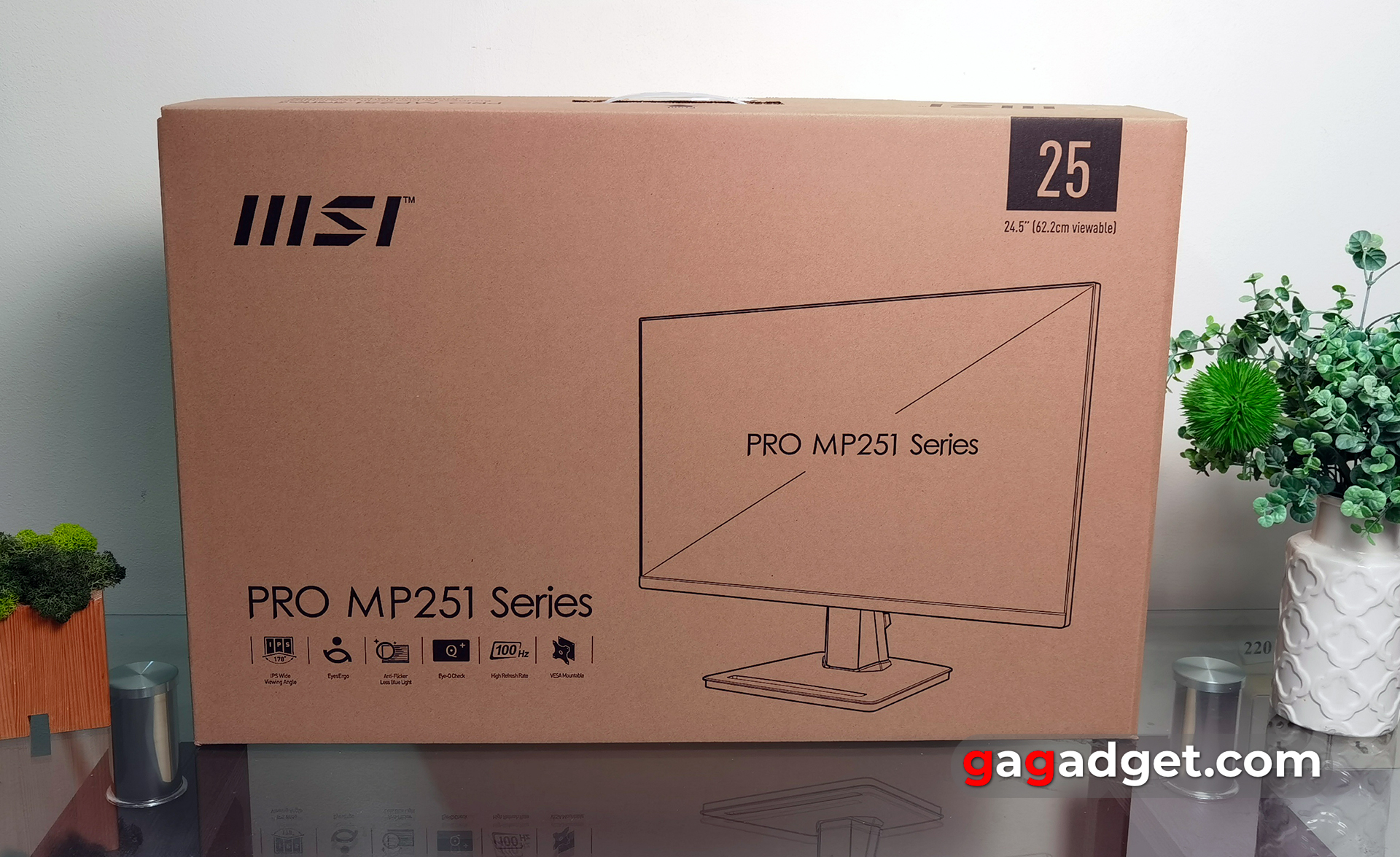 Огляд MSI PRO MP251