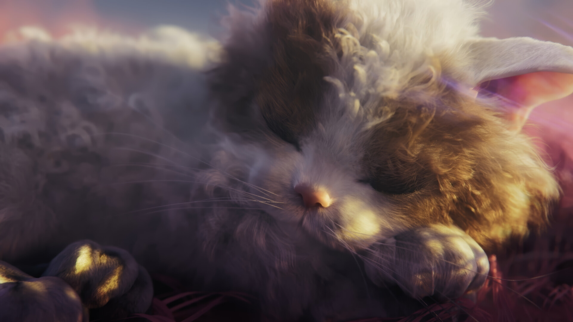 Katten in de psychedelische wereld Katten in de psychedelische wereld